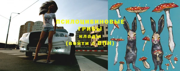 трава Алзамай