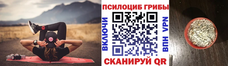 продажа наркотиков  Зверево  Галлюциногенные грибы Cubensis 