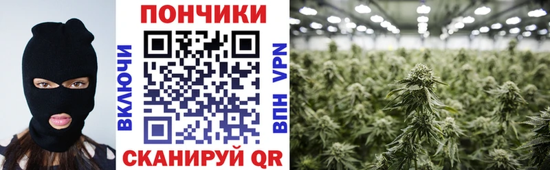 Конопля THC 21%  купить  сайты  Зверево 